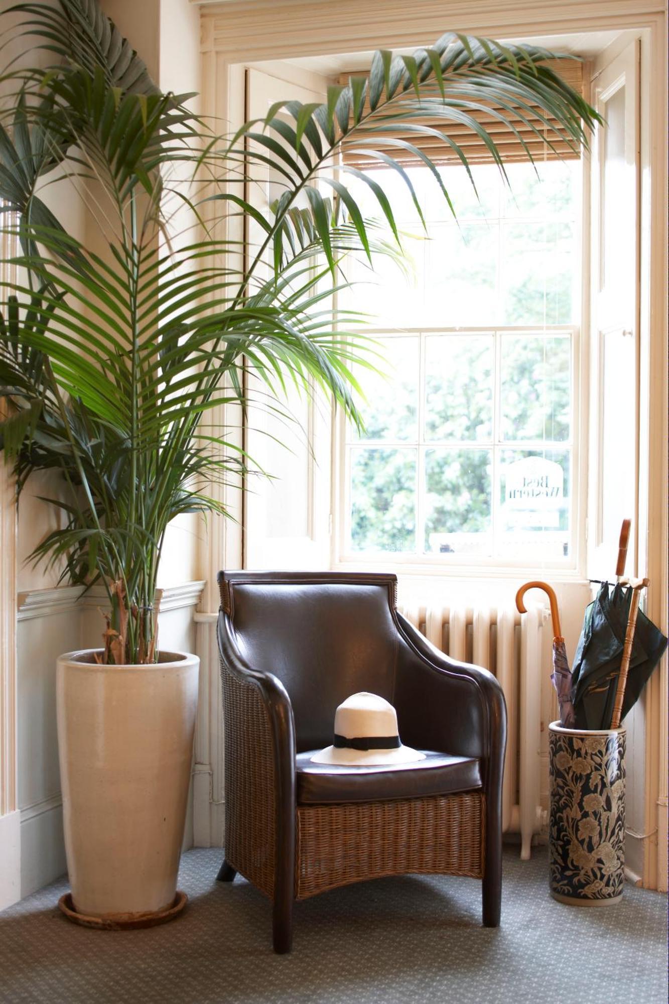 Flackley Ash Country House Hotel Peasmarsh 外观 照片